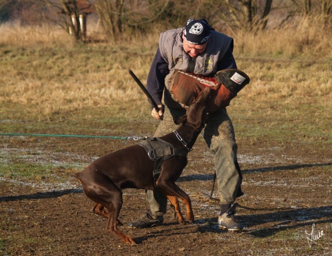 The christmas training 27.12.2006